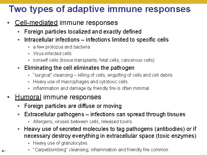 Two types of adaptive immune responses • Cell-mediated immune responses • Foreign particles localized