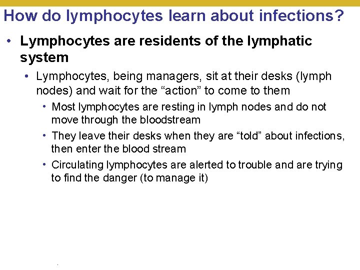How do lymphocytes learn about infections? • Lymphocytes are residents of the lymphatic system