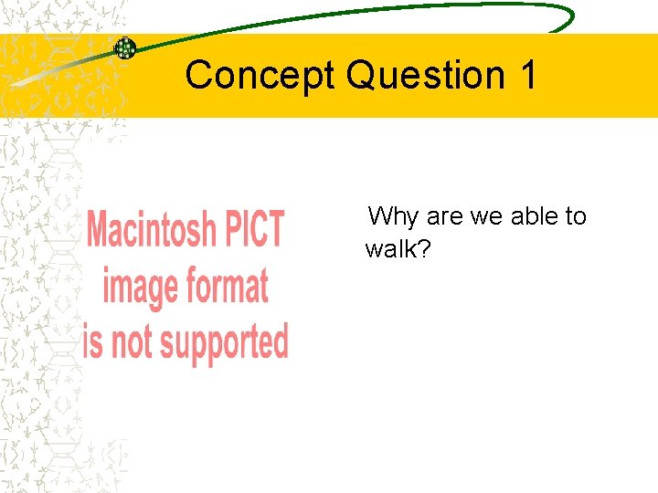 Concept Question 1 Why are we able to walk? 