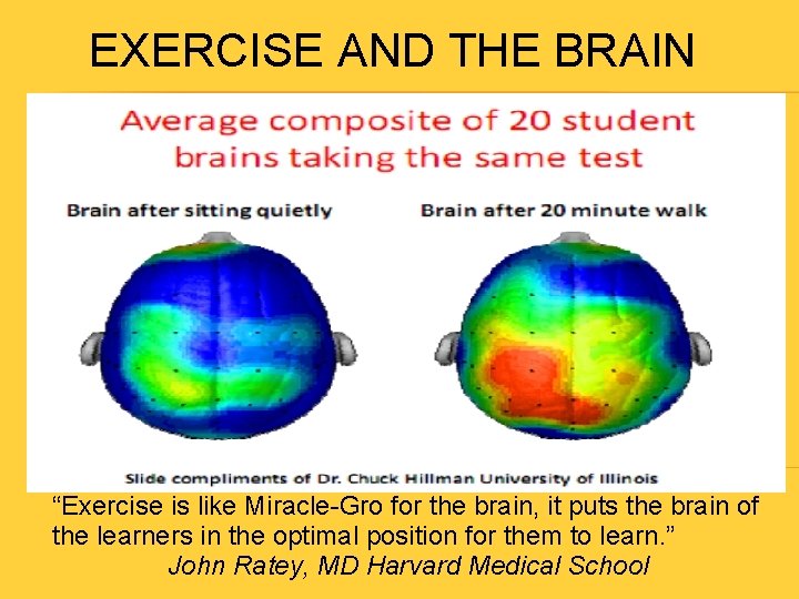 EXERCISE AND THE BRAIN “Exercise is like Miracle-Gro for the brain, it puts the