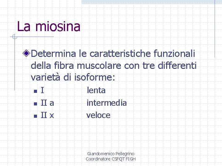 La miosina Determina le caratteristiche funzionali della fibra muscolare con tre differenti varietà di