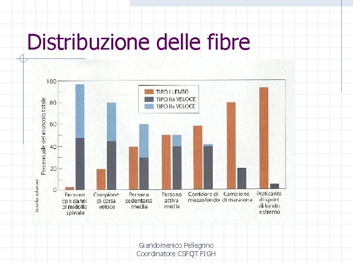 Distribuzione delle fibre Giandomenico Pellegrino Coordinatore CSFQT FIGH 