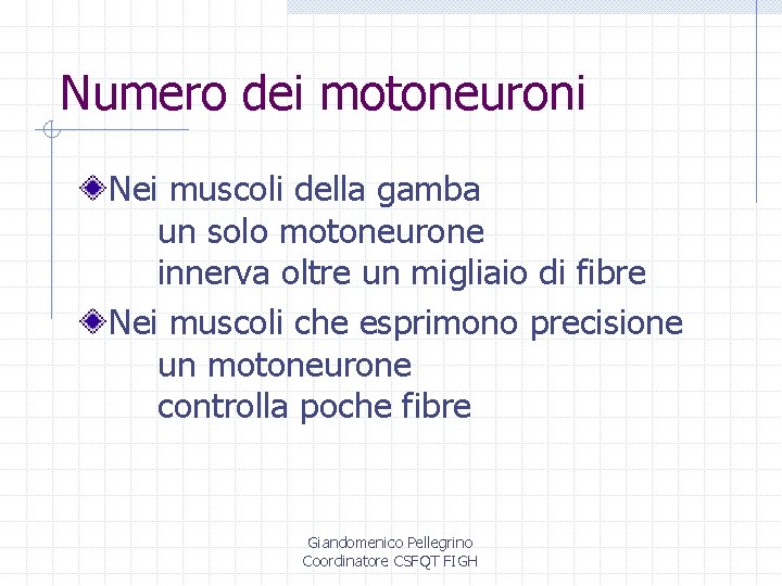 Numero dei motoneuroni Nei muscoli della gamba un solo motoneurone innerva oltre un migliaio