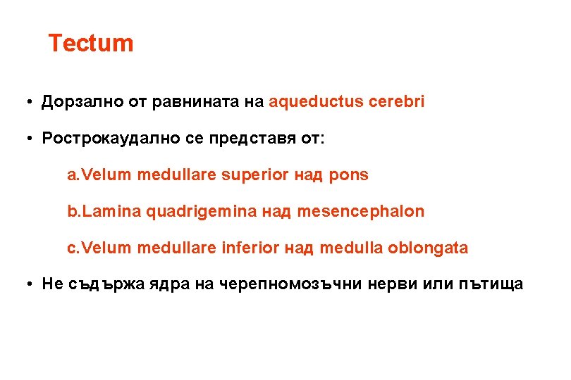 Tectum • Дорзално от равнината на aqueductus cerebri • Рострокаудално се представя от: a.