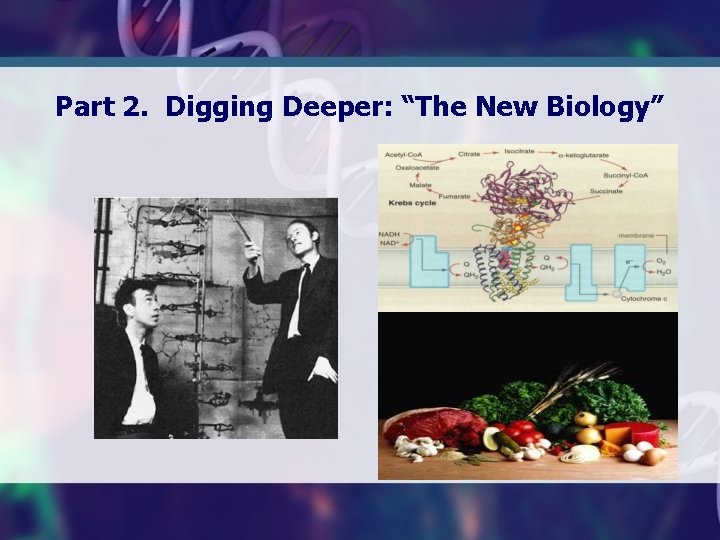 Part 2. Digging Deeper: “The New Biology” 