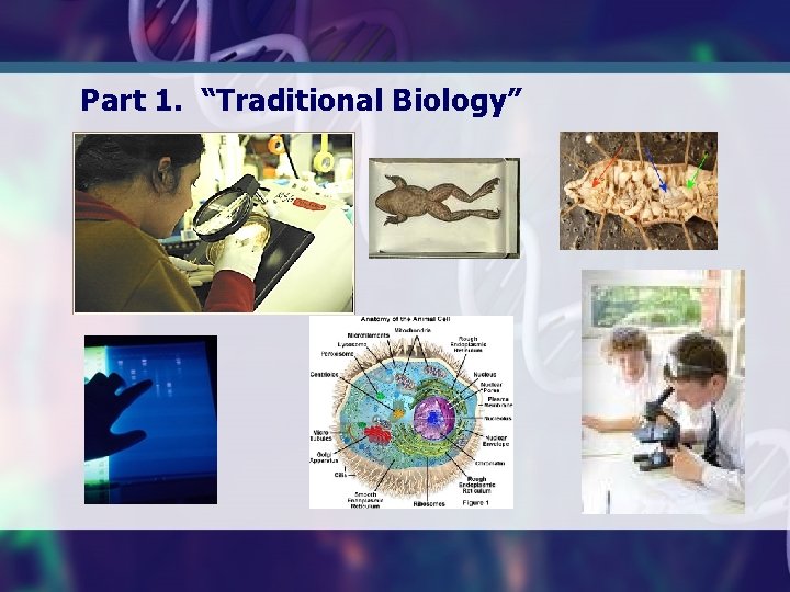 Part 1. “Traditional Biology” 