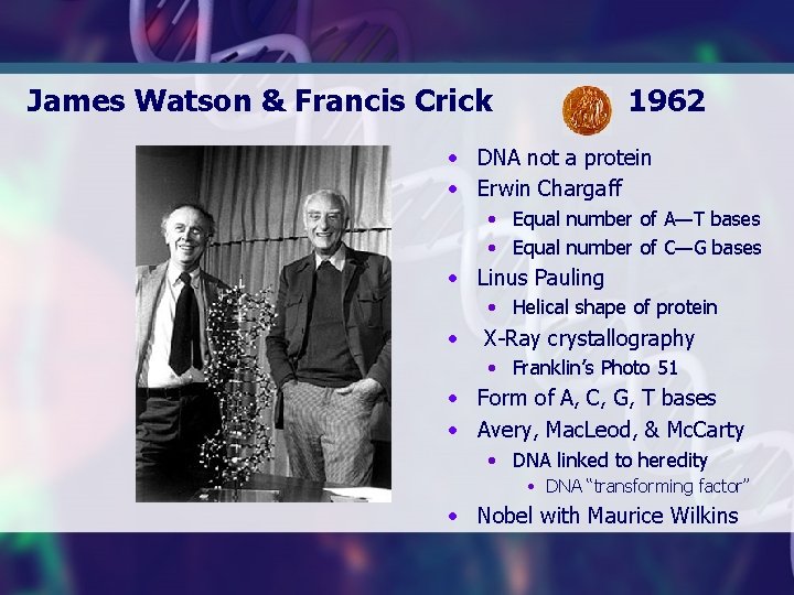 James Watson & Francis Crick 1962 • DNA not a protein • Erwin Chargaff