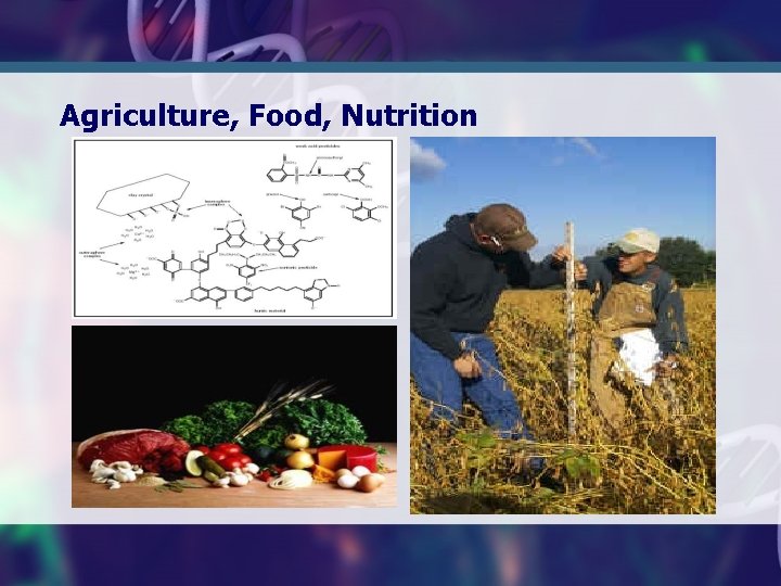 Agriculture, Food, Nutrition 