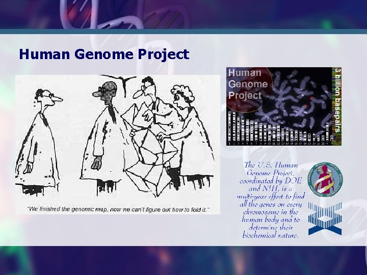 Human Genome Project 