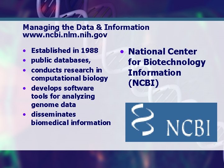 Managing the Data & Information www. ncbi. nlm. nih. gov • Established in 1988