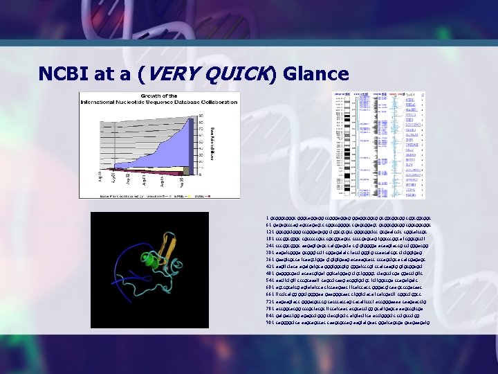 NCBI at a (VERY QUICK) Glance 1 gcgggcaggagg ccgggaggaggcggcggcgg cggcggcggc 61 gagagcccag agccagagcc cggccggggc