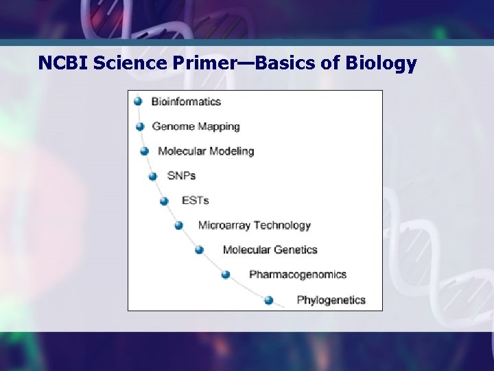 NCBI Science Primer—Basics of Biology 