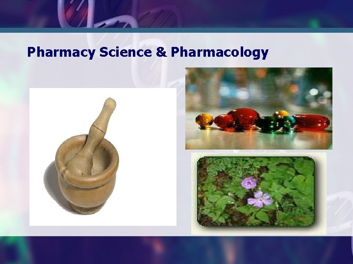 Pharmacy Science & Pharmacology 