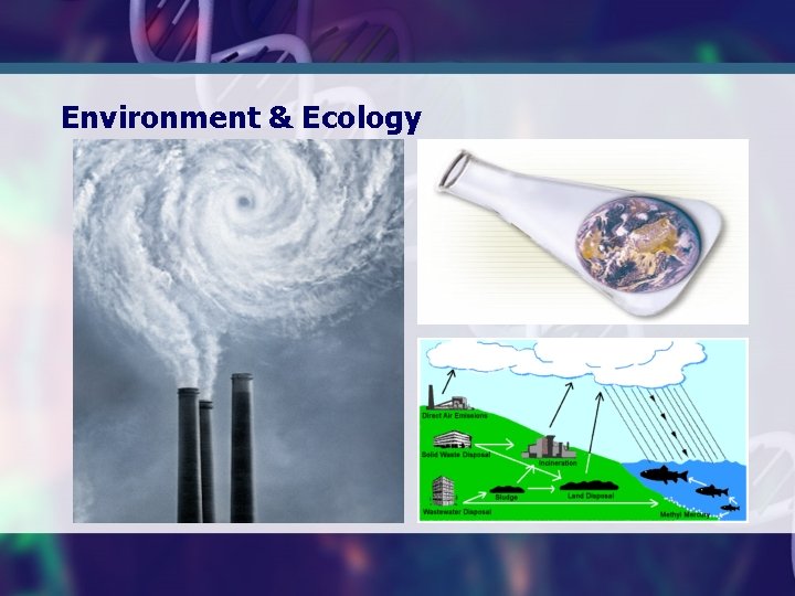 Environment & Ecology 