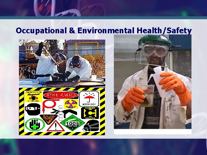 Occupational & Environmental Health/Safety 