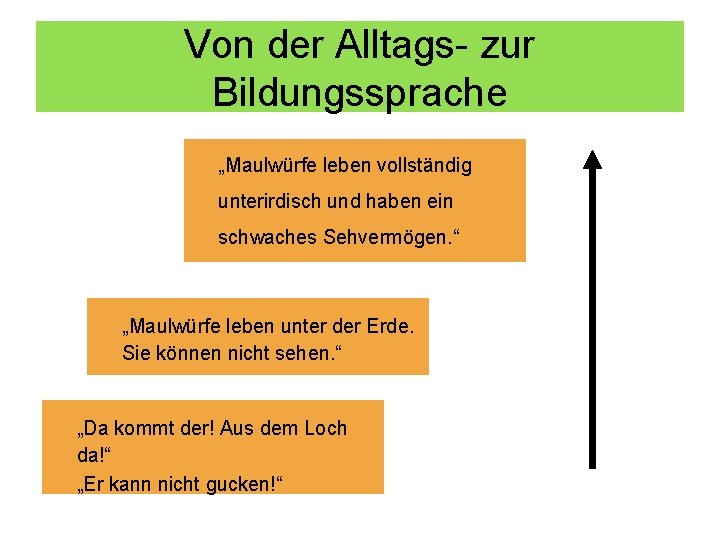 Von der Alltags- zur Bildungssprache „Maulwürfe leben vollständig unterirdisch und haben ein schwaches Sehvermögen.