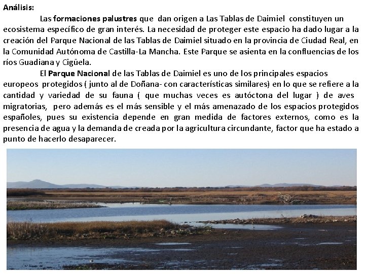 Análisis: Las formaciones palustres que dan origen a Las Tablas de Daimiel constituyen un