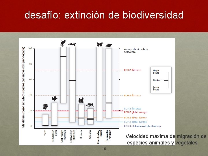 desafío: extinción de biodiversidad Velocidad máxima de migración de especies animales y vegetales 16