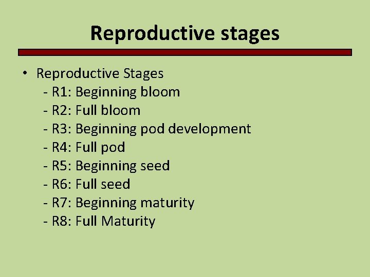 Reproductive stages • Reproductive Stages - R 1: Beginning bloom - R 2: Full