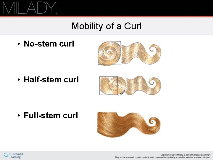 Mobility of a Curl • No-stem curl • Half-stem curl • Full-stem curl 