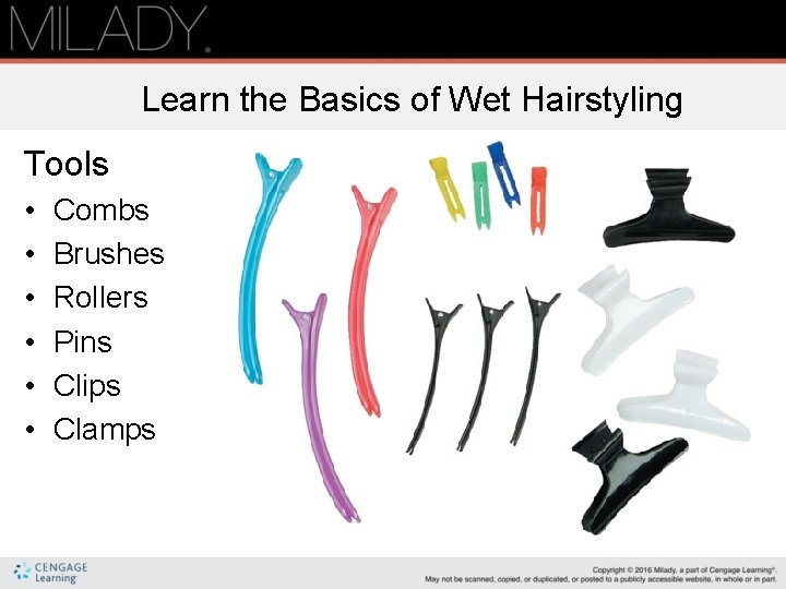 Learn the Basics of Wet Hairstyling Tools • • • Combs Brushes Rollers Pins Learn the Basics of Wet Hairstyling Tools • • • Combs Brushes Rollers Pins
