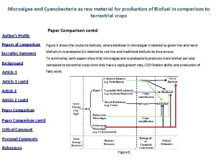 Microalgae and Cyanobacteria as raw material for production of Biofuel in comparison to terrestrial