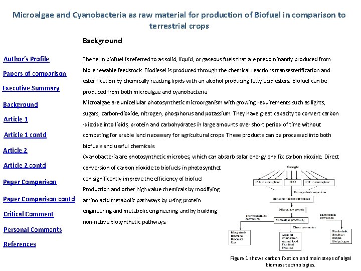 Microalgae and Cyanobacteria as raw material for production of Biofuel in comparison to terrestrial