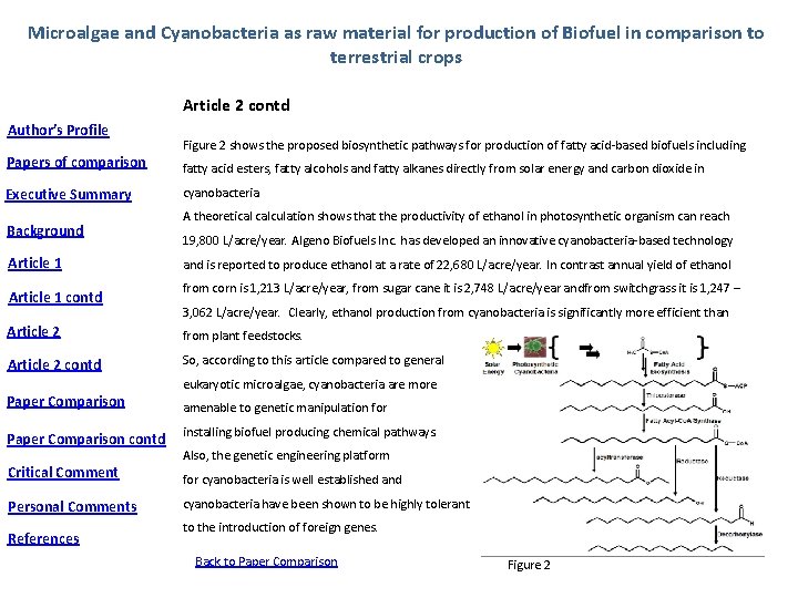 Microalgae and Cyanobacteria as raw material for production of Biofuel in comparison to terrestrial