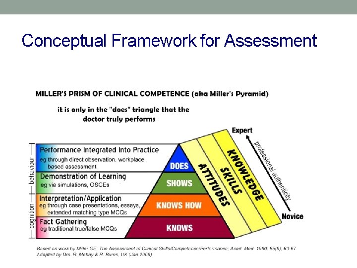 Conceptual Framework for Assessment 