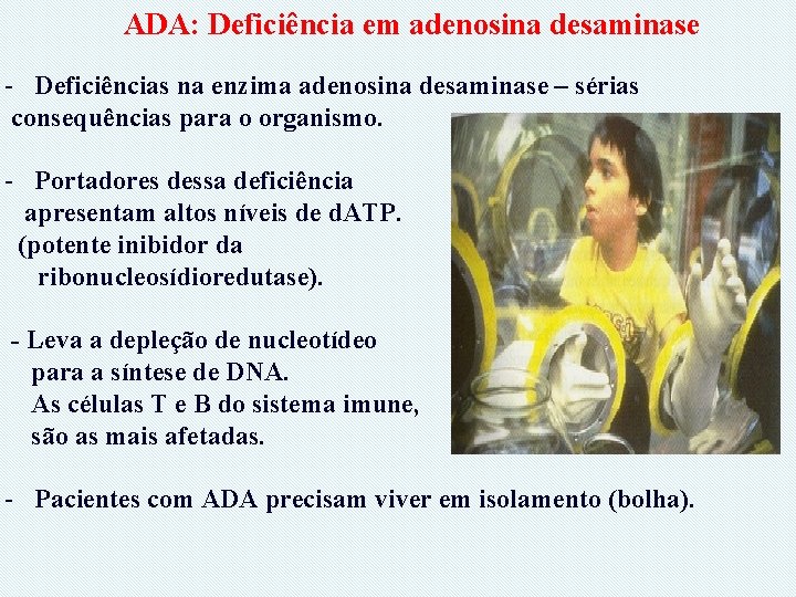 ADA: Deficiência em adenosina desaminase - Deficiências na enzima adenosina desaminase – sérias consequências