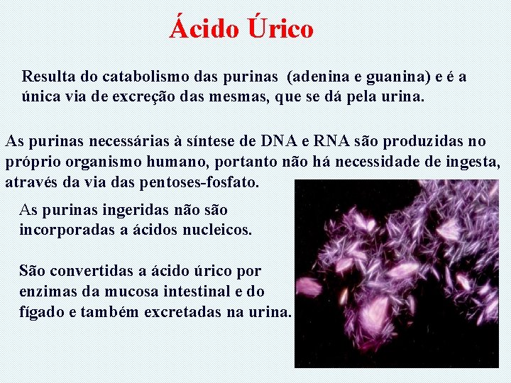 Ácido Úrico Resulta do catabolismo das purinas (adenina e guanina) e é a única