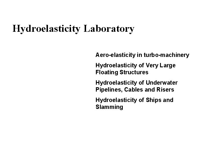 Hydroelasticity Laboratory Aero-elasticity in turbo-machinery Hydroelasticity of Very Large Floating Structures Hydroelasticity of Underwater