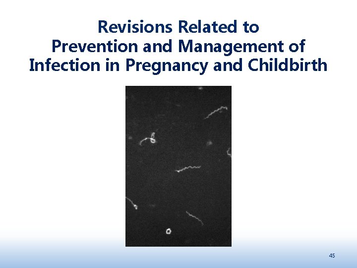Revisions Related to Prevention and Management of Infection in Pregnancy and Childbirth 45 