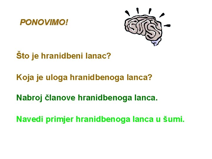 PONOVIMO! Što je hranidbeni lanac? Koja je uloga hranidbenoga lanca? Nabroj članove hranidbenoga lanca.