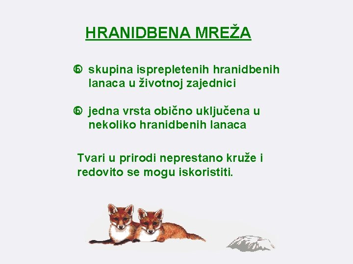 HRANIDBENA MREŽA skupina isprepletenih hranidbenih lanaca u životnoj zajednici jedna vrsta obično uključena u