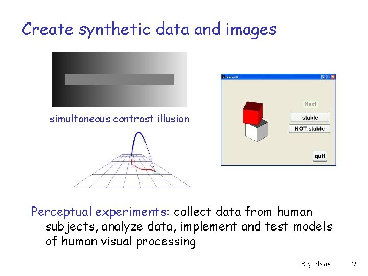 Create synthetic data and images simultaneous contrast illusion Perceptual experiments: collect data from human