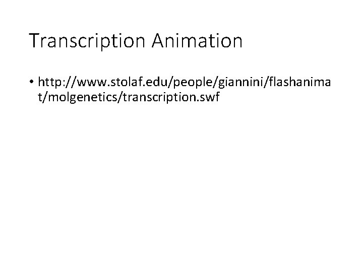 Transcription Animation • http: //www. stolaf. edu/people/giannini/flashanima t/molgenetics/transcription. swf 