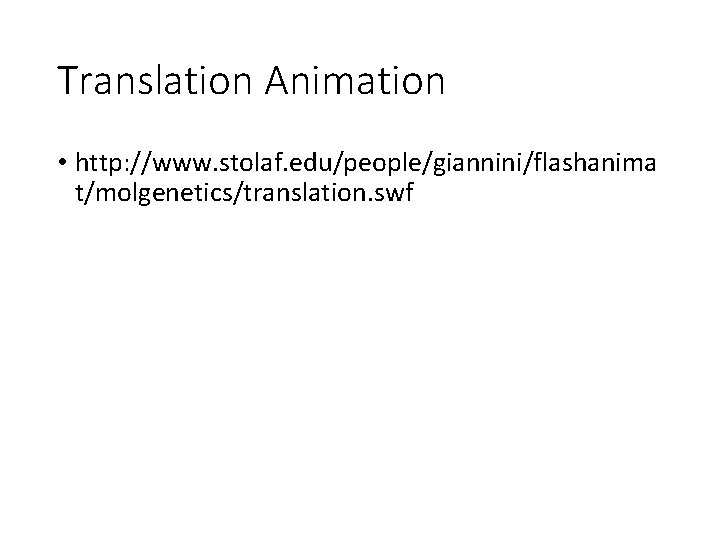 Translation Animation • http: //www. stolaf. edu/people/giannini/flashanima t/molgenetics/translation. swf 