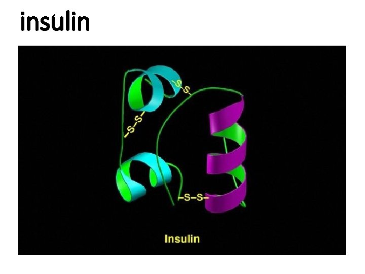 insulin 