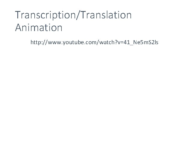 Transcription/Translation Animation http: //www. youtube. com/watch? v=41_Ne 5 m. S 2 ls 