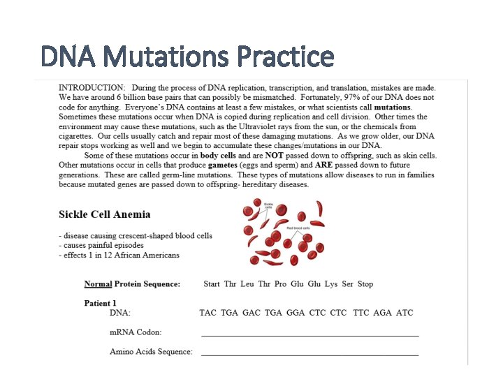 DNA Mutations Practice 