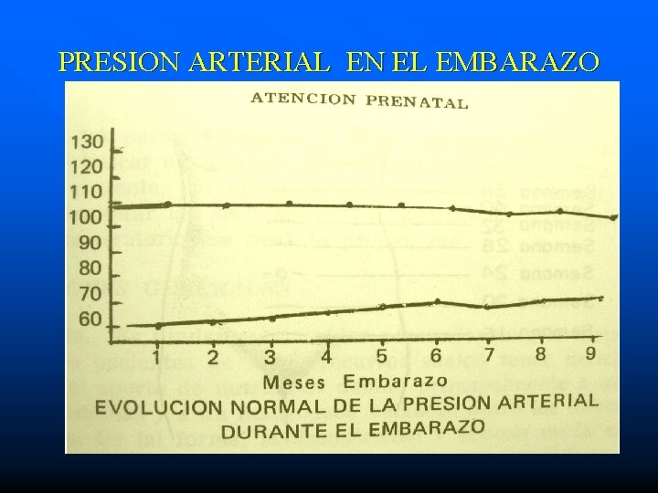 PRESION ARTERIAL EN EL EMBARAZO 