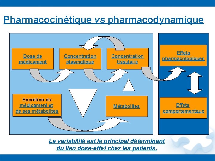 Pharmacocinétique vs pharmacodynamique Dose de médicament Concentration plasmatique Excrétion du médicament et de ses