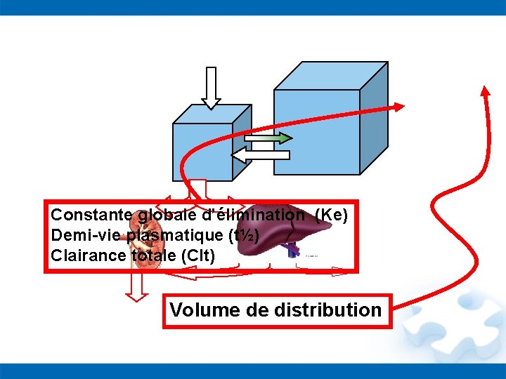 Constante globale d’élimination (Ke) Demi-vie plasmatique (t½) Clairance totale (Clt) Volume de distribution 