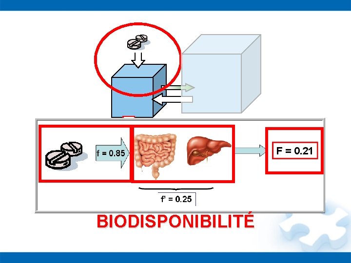 BIODISPONIBILITÉ 