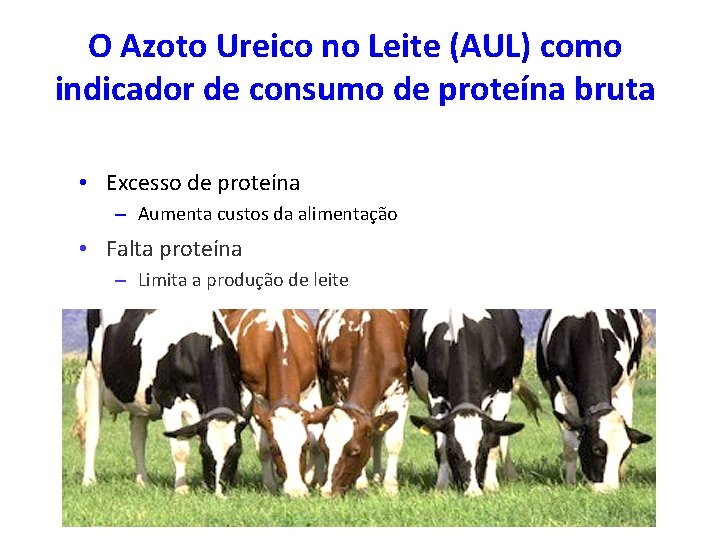 O Azoto Ureico no Leite (AUL) como indicador de consumo de proteína bruta •