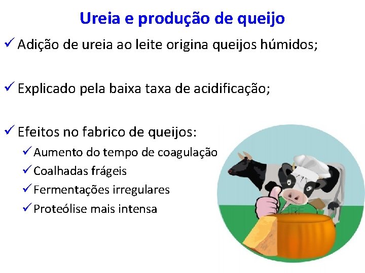 Ureia e produção de queijo ü Adição de ureia ao leite origina queijos húmidos;