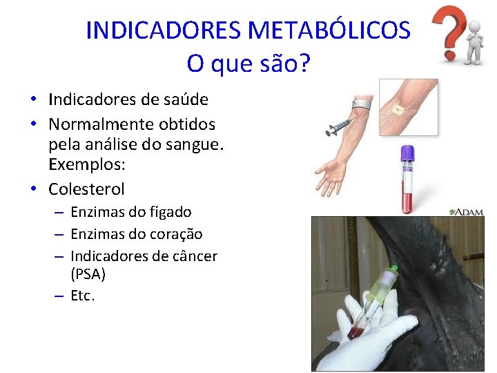 INDICADORES METABÓLICOS O que são? • Indicadores de saúde • Normalmente obtidos pela análise