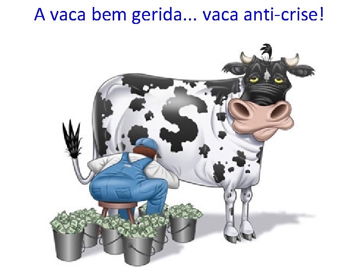 A vaca bem gerida. . . vaca anti-crise! 