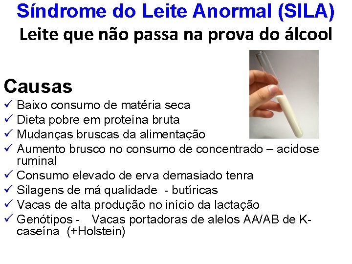 Síndrome do Leite Anormal (SILA) Leite que não passa na prova do álcool Causas